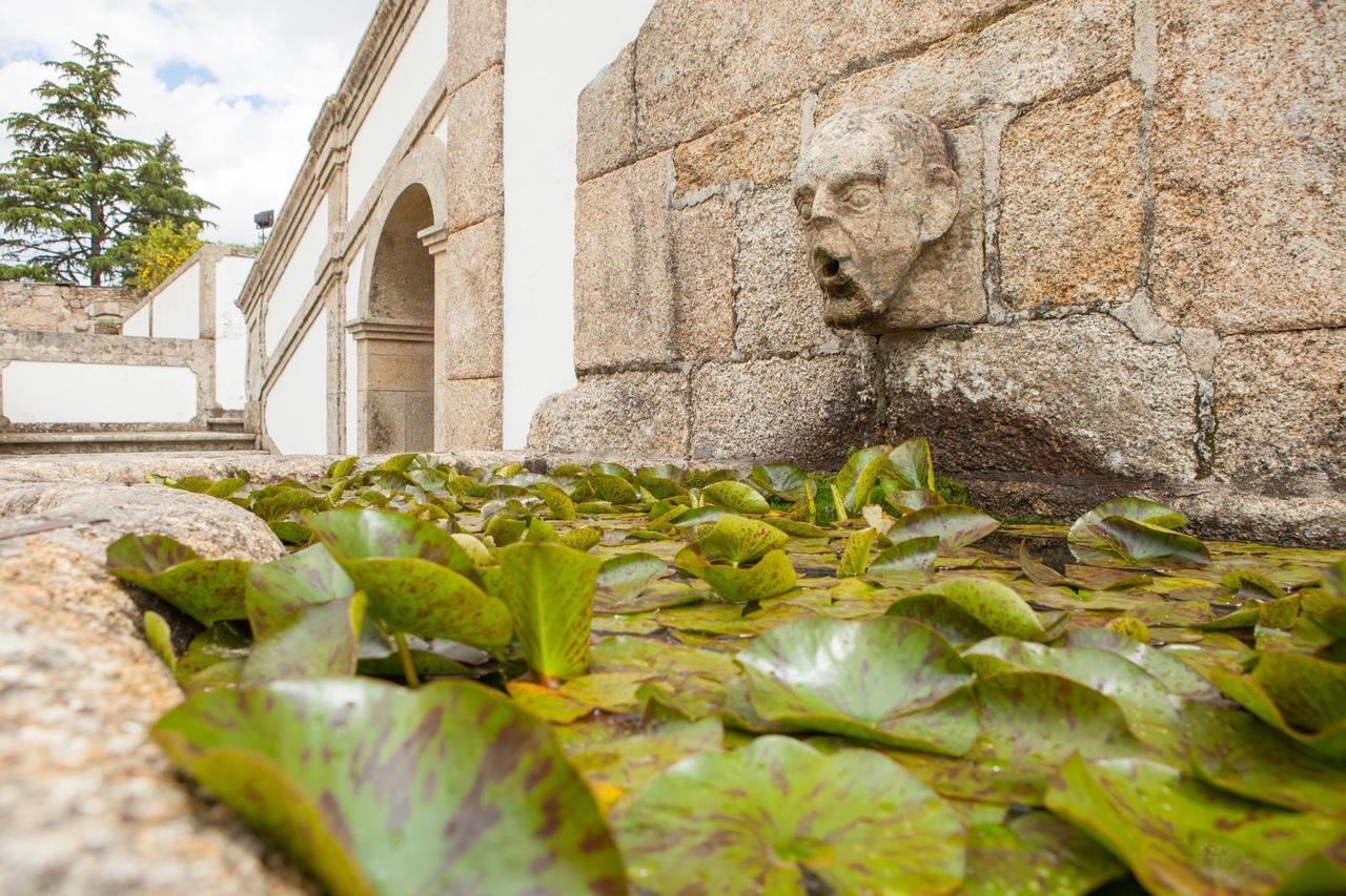 Casa De Quinta Villa Marco de Canavezes Exterior foto